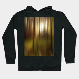 Hazy Late Afternoon in the Summer Woods Hoodie